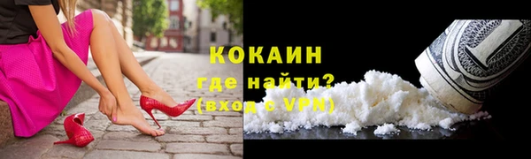 трава Белокуриха