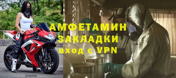 трава Белокуриха
