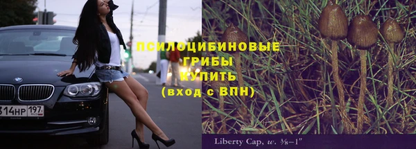 трава Белокуриха