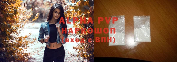 трава Белокуриха