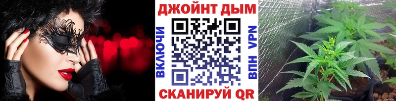 Бошки марихуана MAZAR  Купить  Тверь 